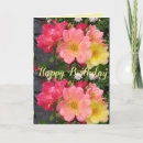 Suche nach rosa und gelbe rosen karten Mutter