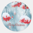 Suche nach rote beeren im schnee aufkleber Frohe weihnachten