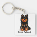 Suche nach pomeranian schlüsselanhänger Hund