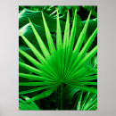 Suche nach green leaves poster Jungle