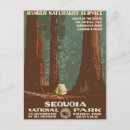 Suche nach sequoia national park postkarten Camping