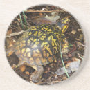 Suche nach kasten untersetzer Natur