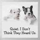 Suche nach zwei hunde poster Welpen