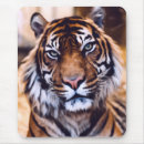 Suche nach bengalische katze mousepads Natur
