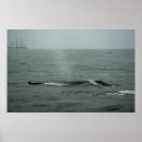 Suche nach per poster Wasser