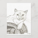 Suche nach ragdoll postkarten Kitty