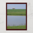 Suche nach regional postkarten Landschaftlich