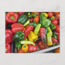 Suche nach pfeffer postkarten Paprika