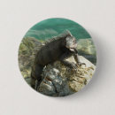 Suche nach leguan buttons Tropisch