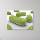 Suche nach kapsel kunst Illustration