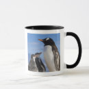 Suche nach gentoo tassen Antarktisch