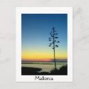 Suche nach blühende blumen postkarten Jede person