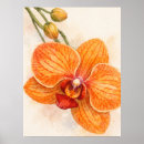 Suche nach moth poster Aquarell