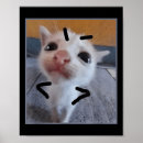 Suche nach angry poster Kätzchen