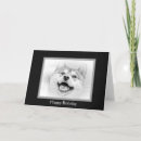 Suche nach lächelnder hund karten Jede person