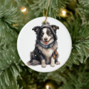 Suche nach border collie ornamente Tier