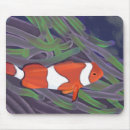 Suche nach orange fische elektronik zubehör Natur
