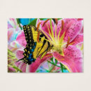 Suche nach tagesträumen Schmetterling