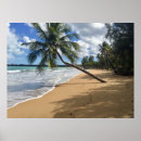Suche nach strandplakat Tropisch