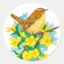 Suche nach wren aufkleber Singvogel