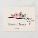 Suche nach katze und eule postkarten Für sie