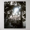 Suche nach dschungel poster Blatt