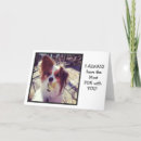 Suche nach lustige kleine hunde karten Haustiere