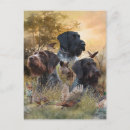 Suche nach jagdhunde postkarten Jagdsaison