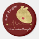 Suche nach organ magnete Jede person