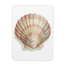 Suche nach sammlung magnete Ozean