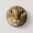 Suche nach miezekatze buttons Katzen