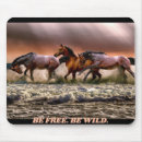 Suche nach wildes pferd mousepads Hengst