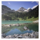 Suche nach washington staat fliesen Judy wild