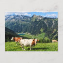 Suche nach österreich postkarten Malerei
