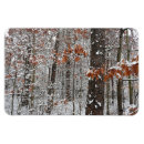 Suche nach schneebedeckter wald magnete Natur