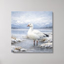 Suche nach wasservögel leinwandbilder Gans