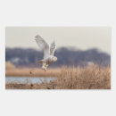 Suche nach schneeeule aufkleber Greifvögel