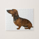 Suche nach seitenansicht puzzle Studioaufnahme