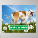 Suche nach löwenzahn poster Niedlich