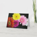 Suche nach keim karten Blumenreich