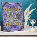 Suche nach bienen fotoplatten Blume