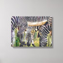 Suche nach zoo leinwandbilder Wild