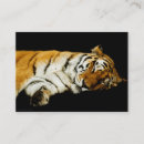 Suche nach amur Große katze