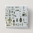 Suche nach wanze buttons Käfer