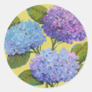 Suche nach hydrangeas aufkleber Botanisch