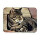 Suche nach hauptstädte magnete Vereinte staaten