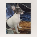 Suche nach kleine hunde puzzle Jede person