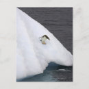 Suche nach papua postkarten Natur