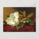 Suche nach martin johnson heade postkarten Vintag