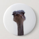 Suche nach strauß buttons Tier